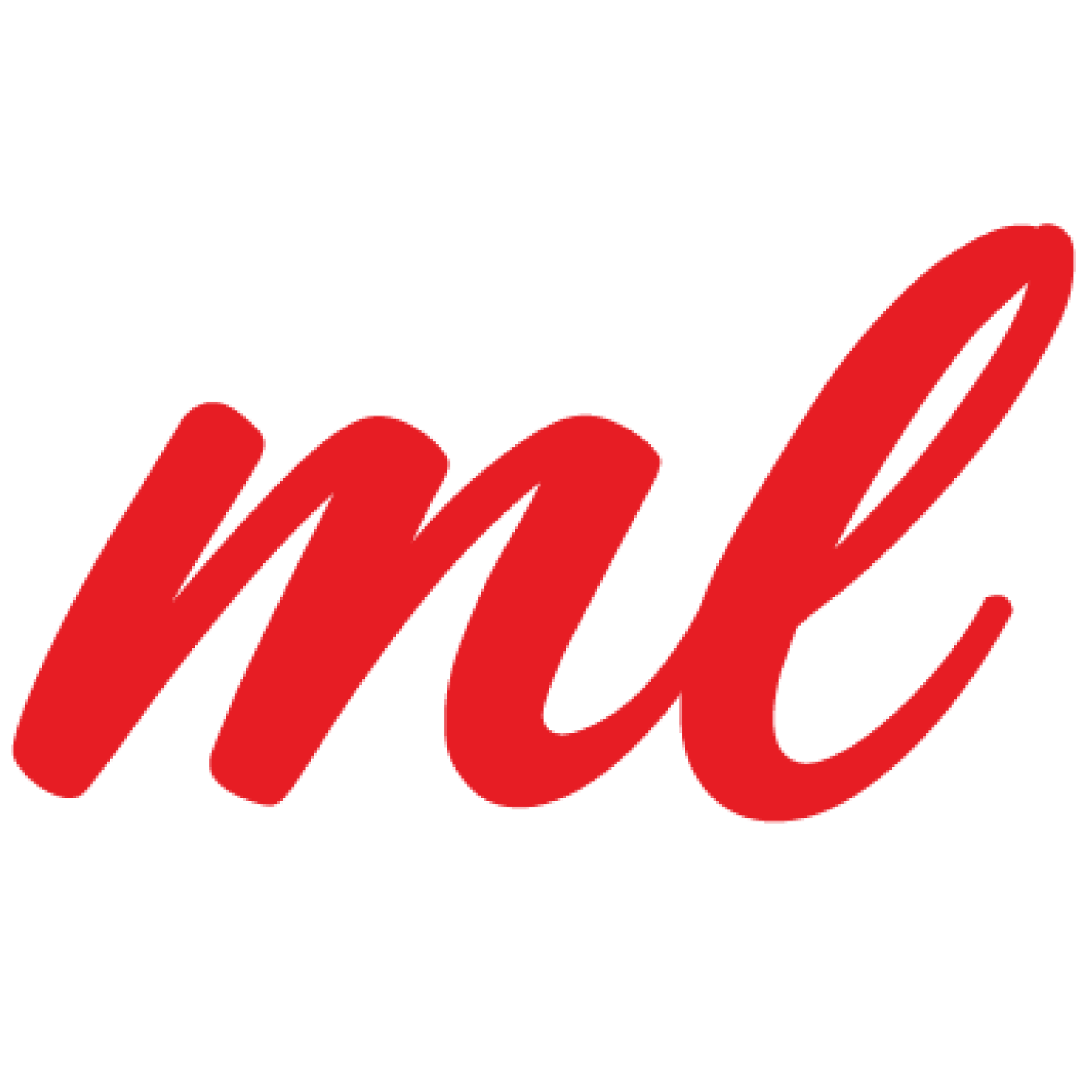 Illustrator & Visual Designer
